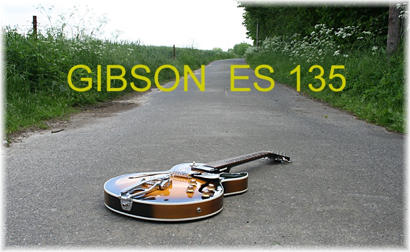 Gibson%20ES%20135%20Bild%201.JPG